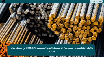 «إليك التفاصيل» سعر طن الأسمنت اليوم الخميس 2025/6/12 في سوق مواد البناء